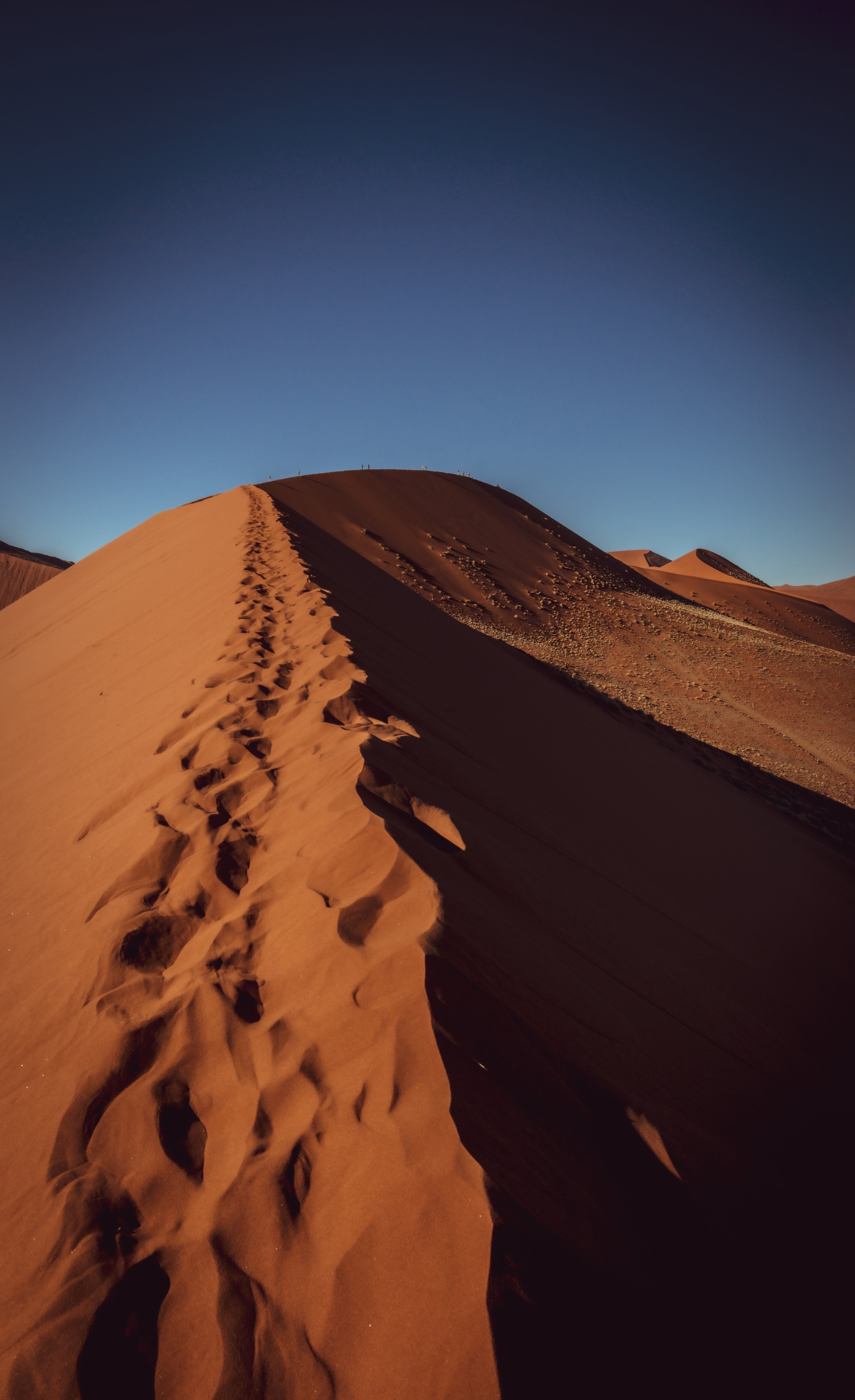 Edge of Silence