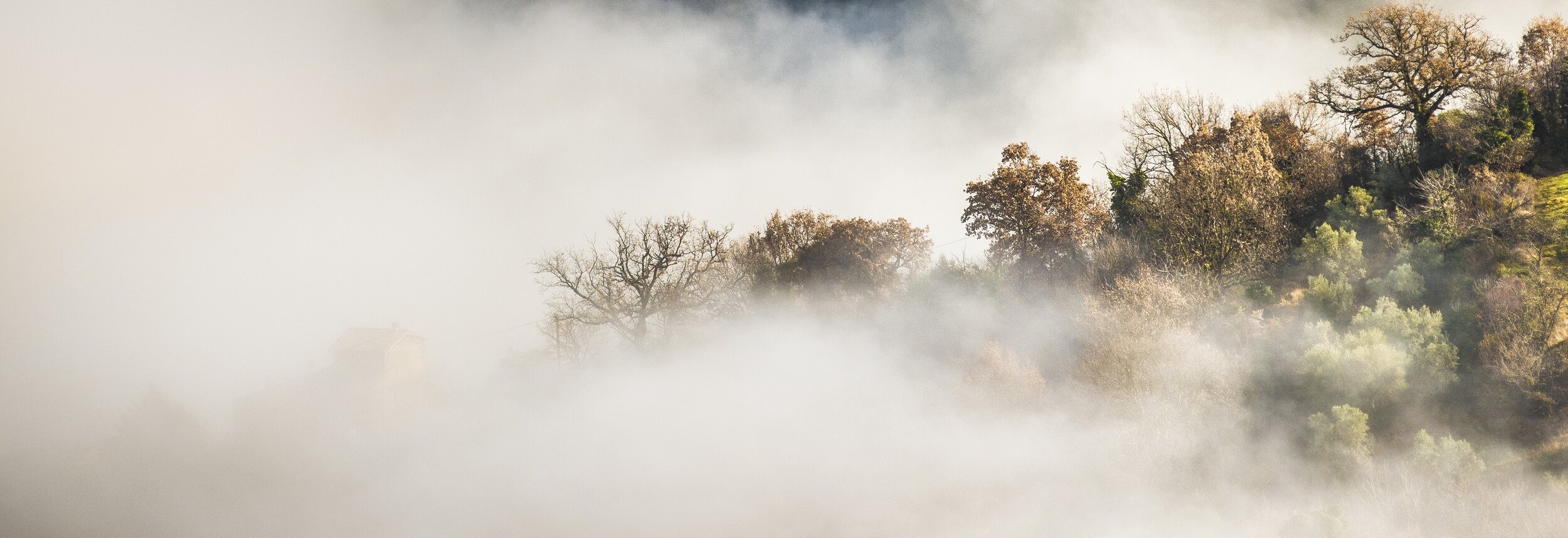 The Road Home