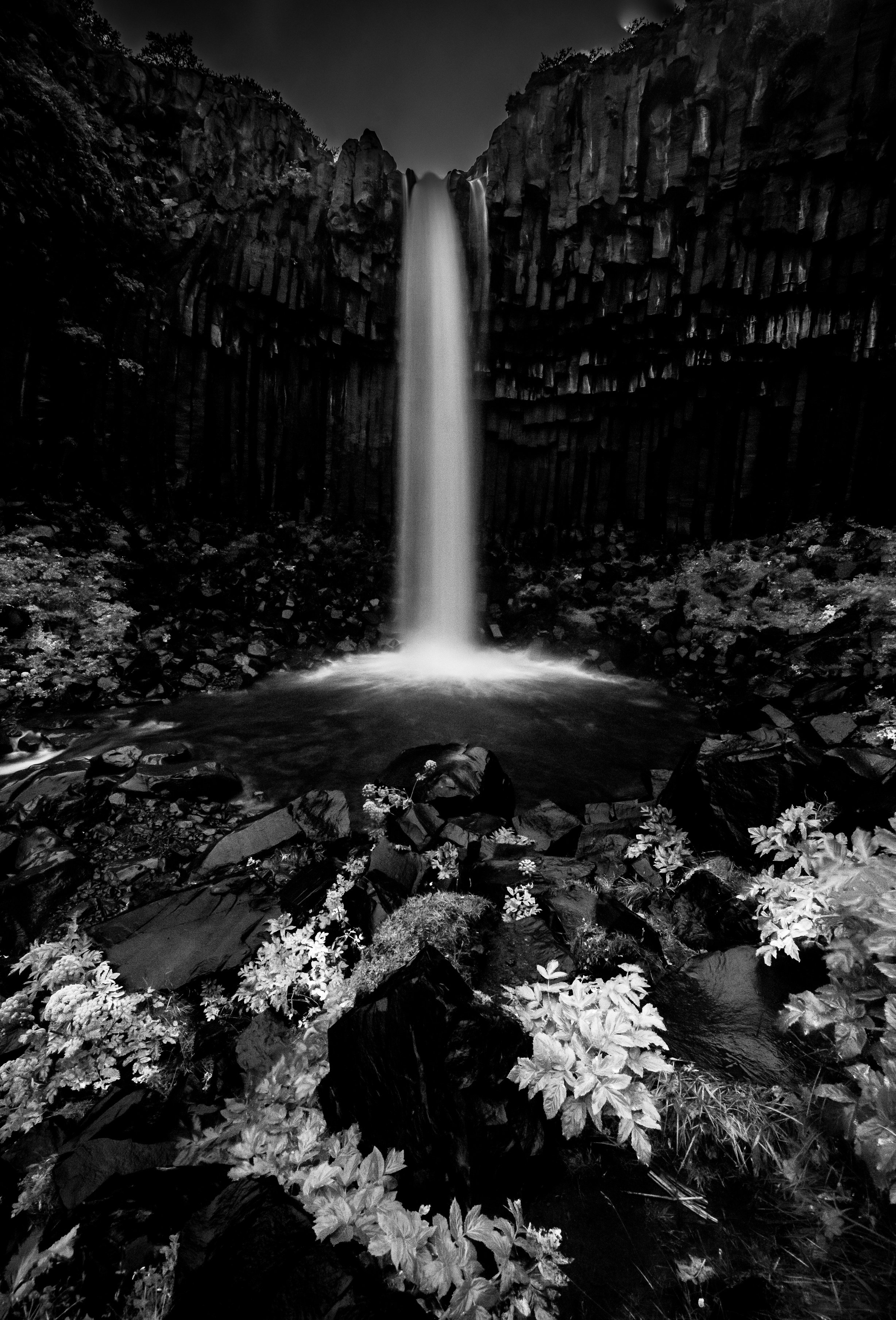 The Stillfall