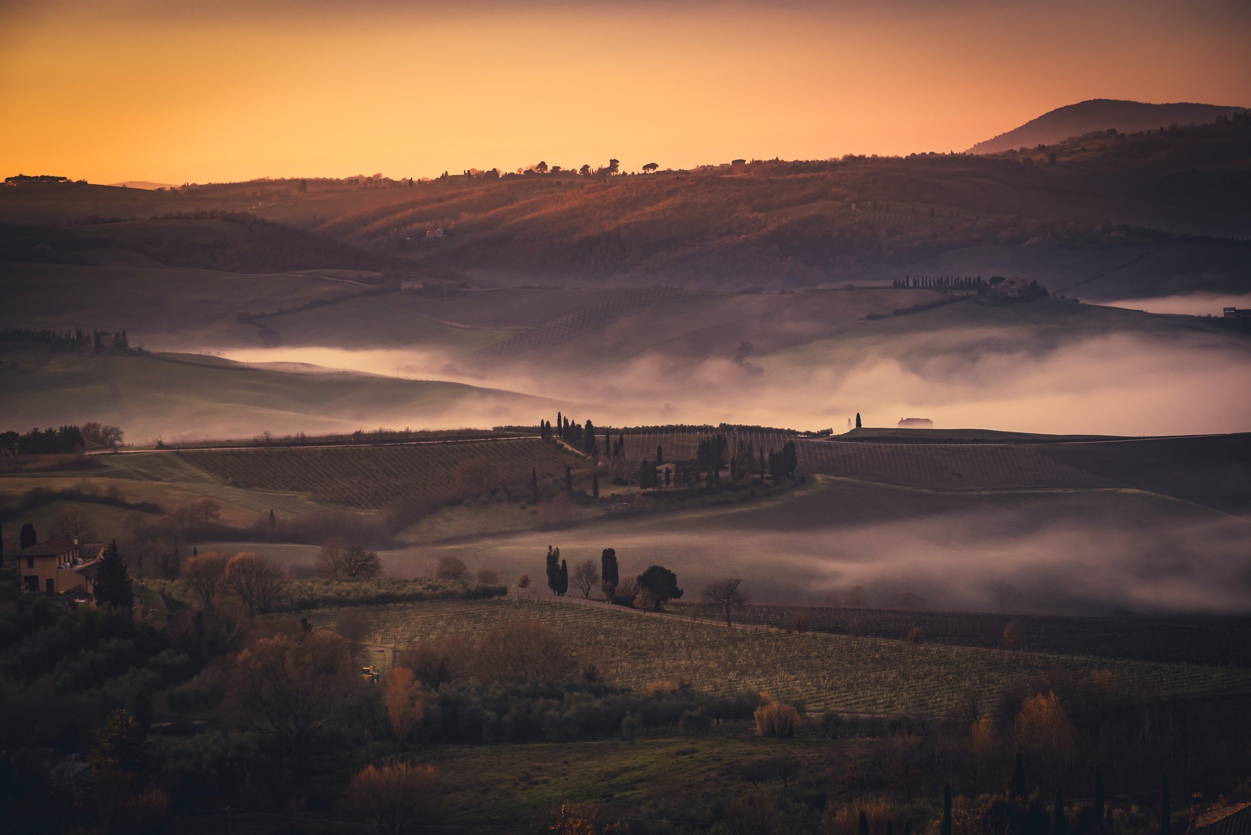 Valley Mist
