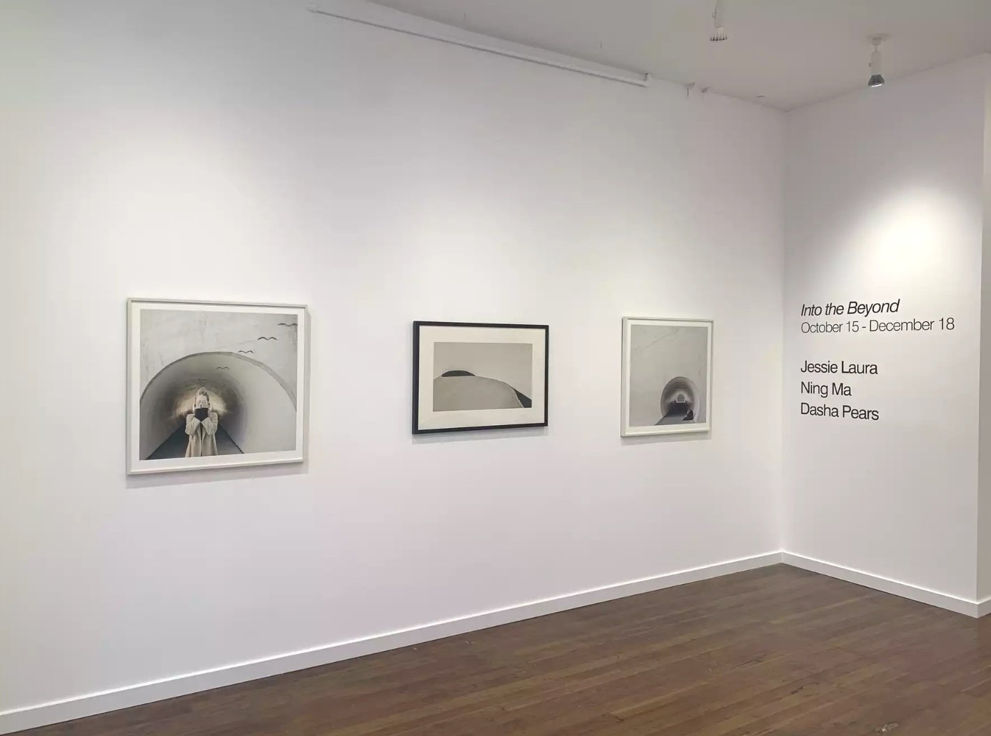TINT Gallery - Juried Group Show 'Into the Beyond' - Ning Ma Photography - Image 2