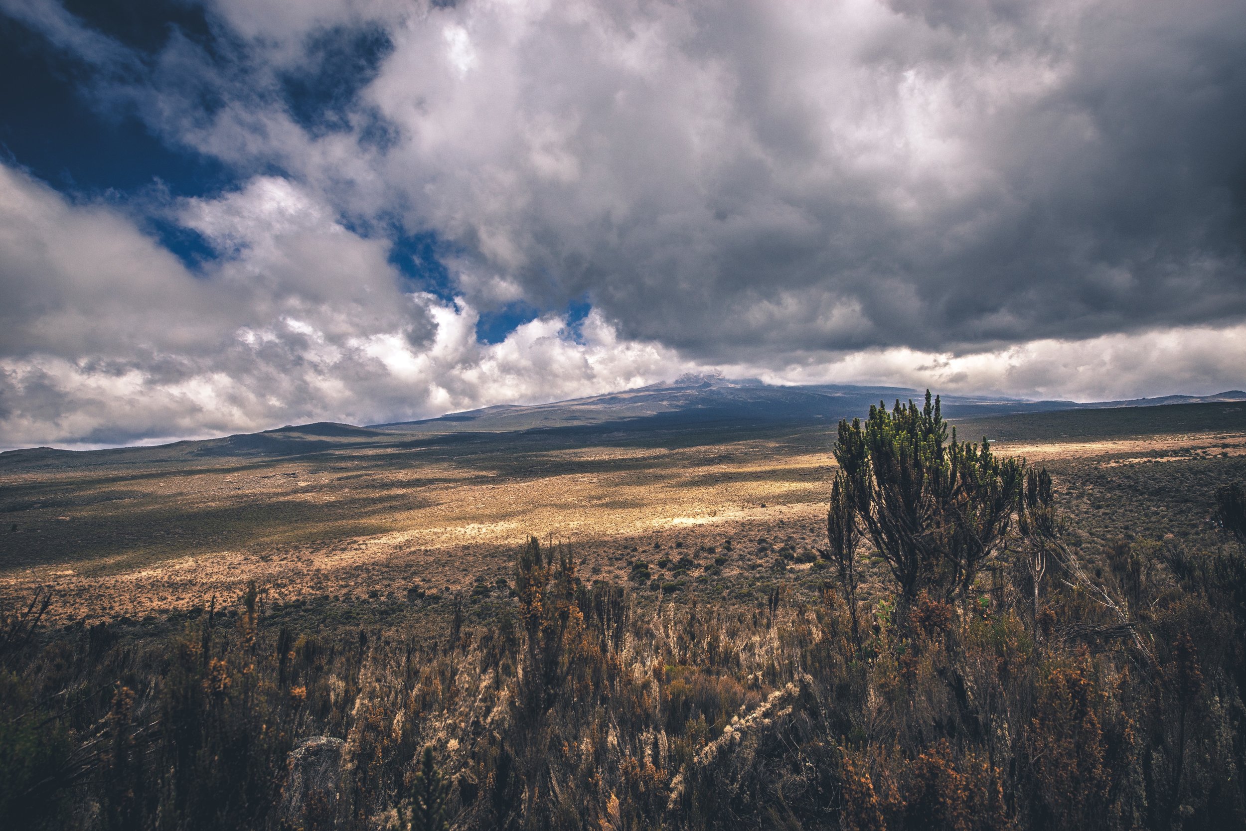 Between Peaks
