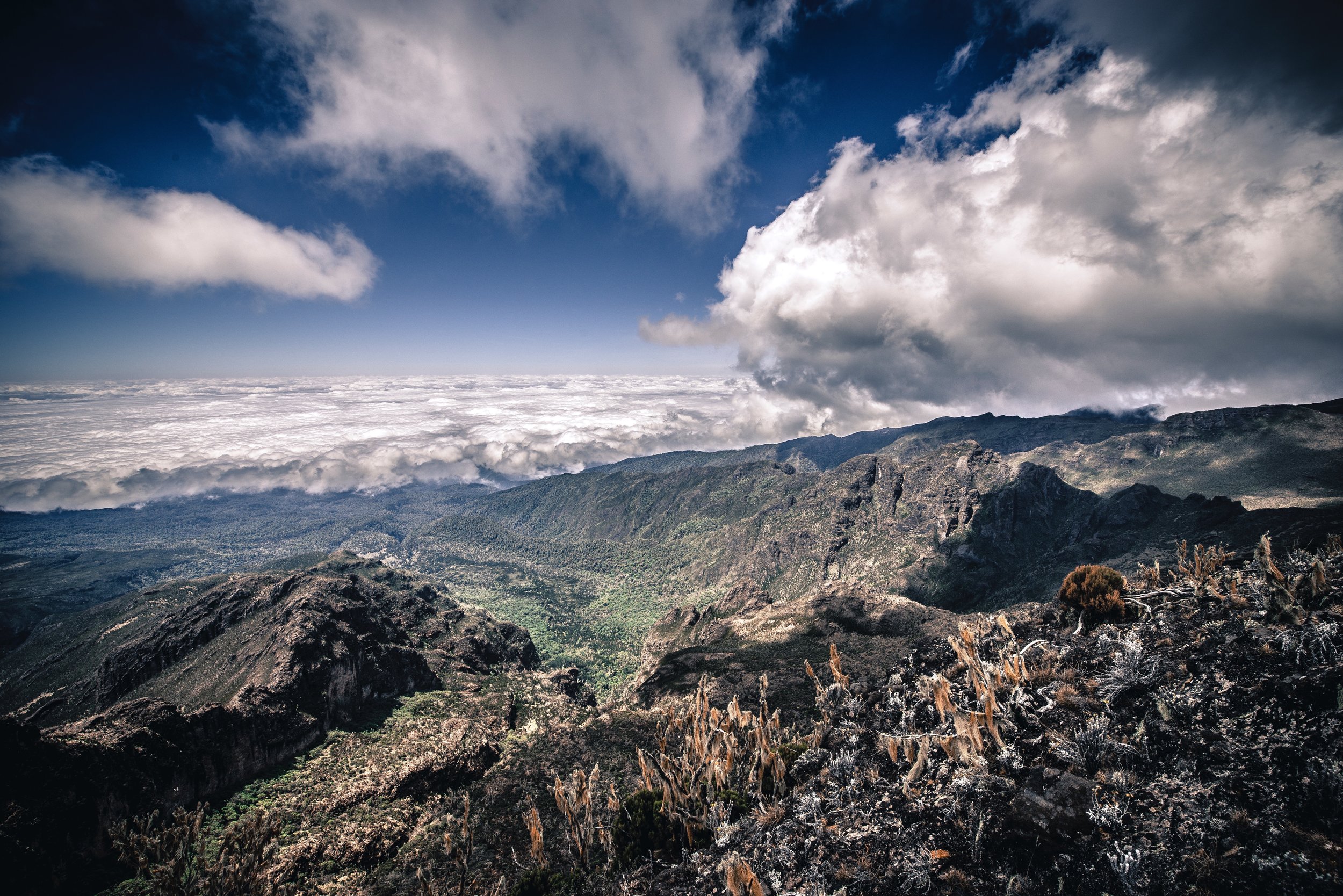 Cloud Kingdom