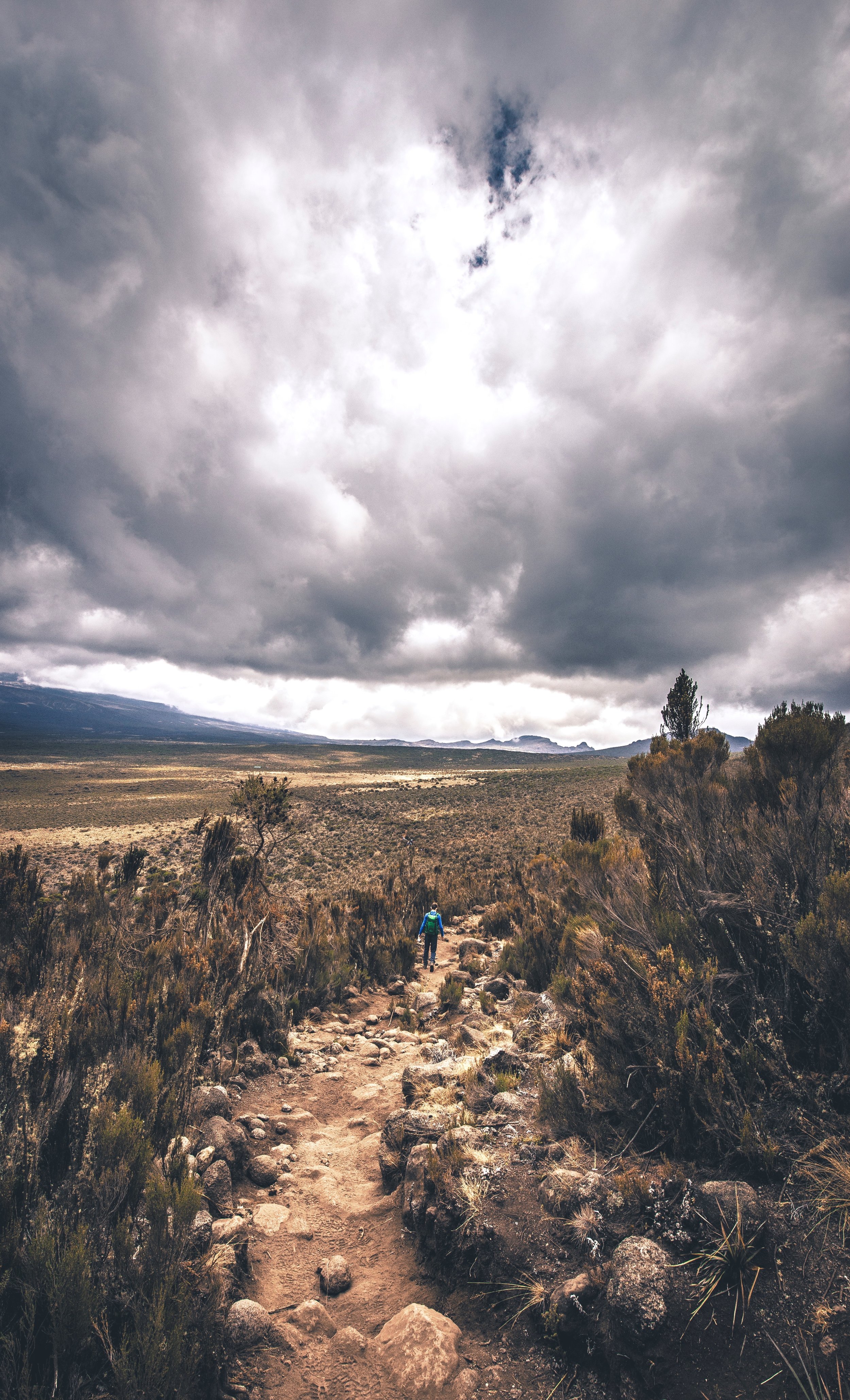 Prehistoric Path