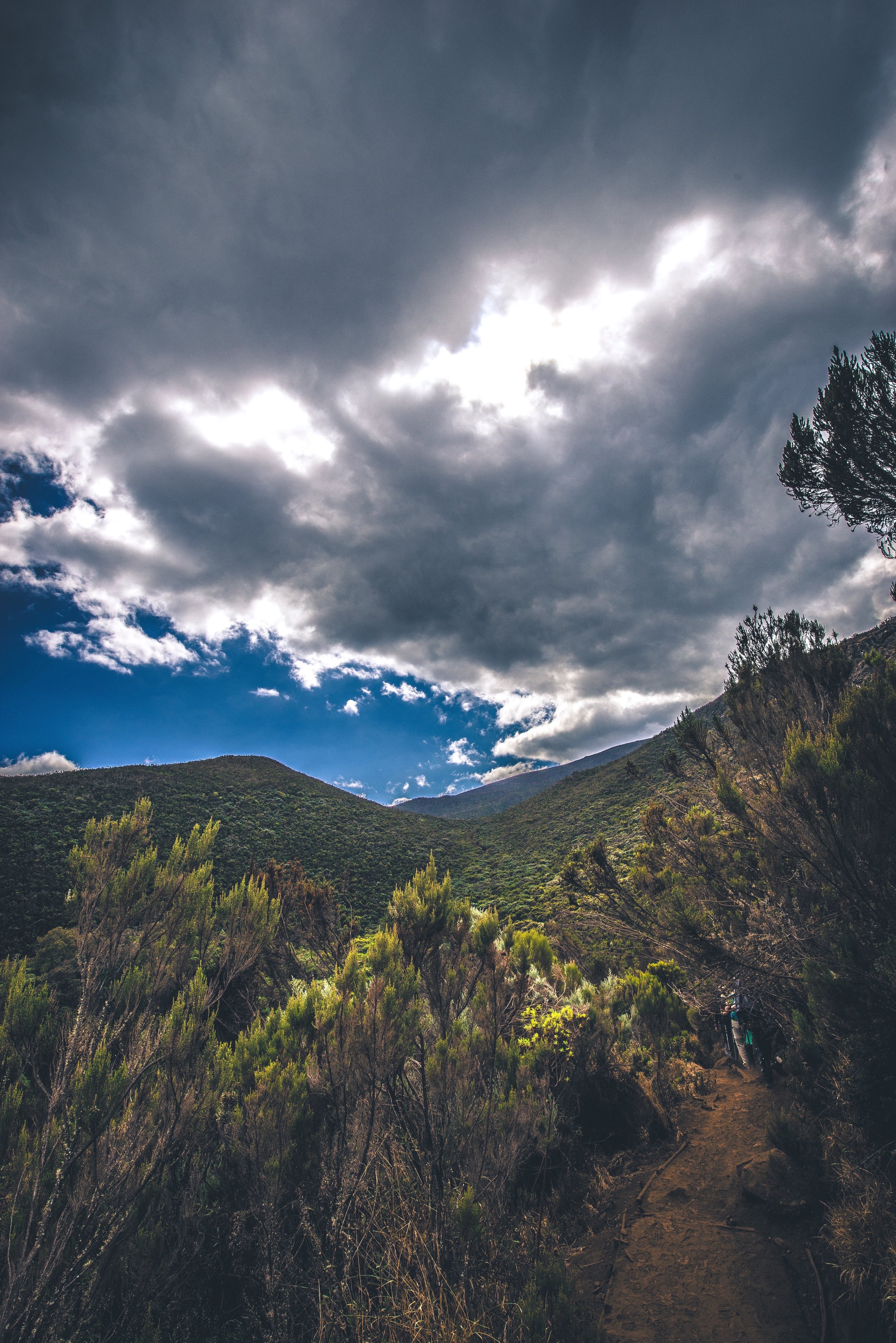 Verdant Slopes