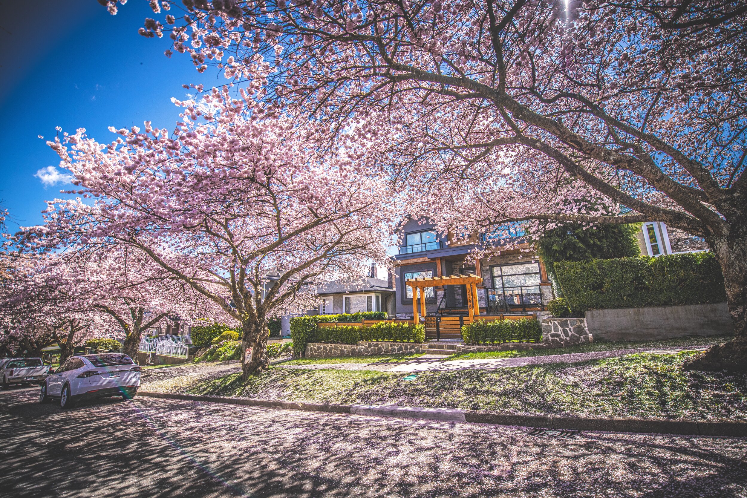 Beneath Spring