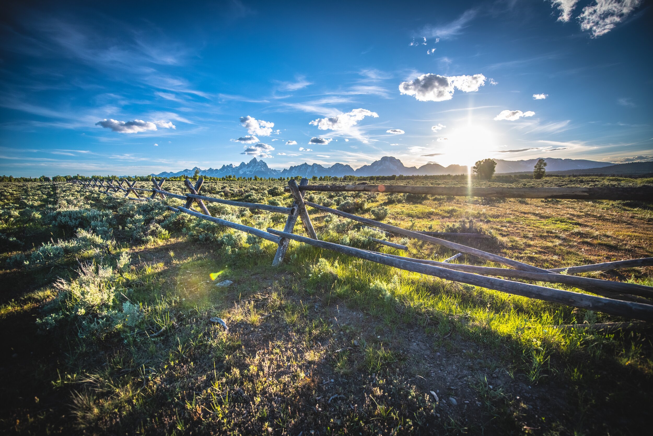 Teton Fence