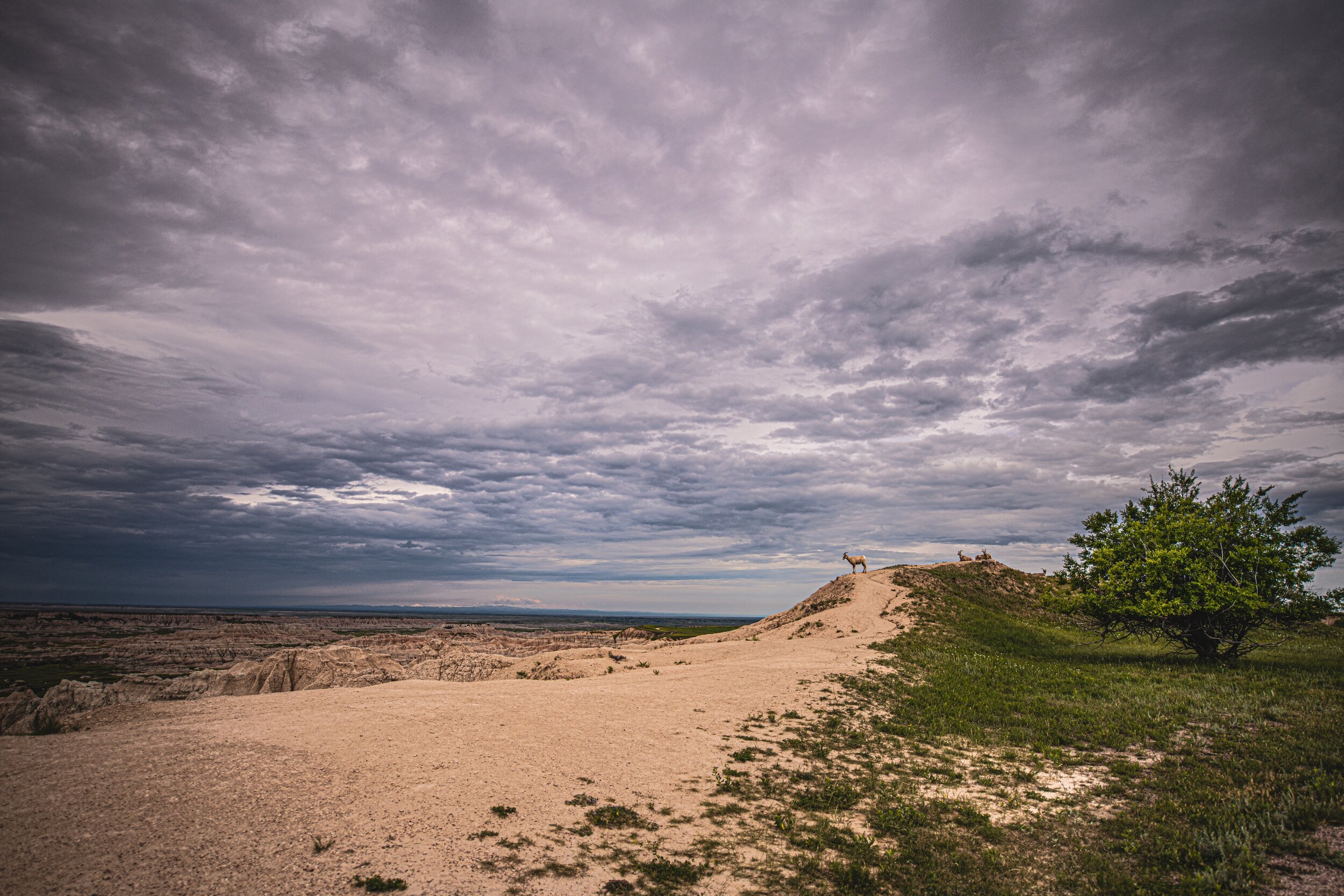 The Overlook