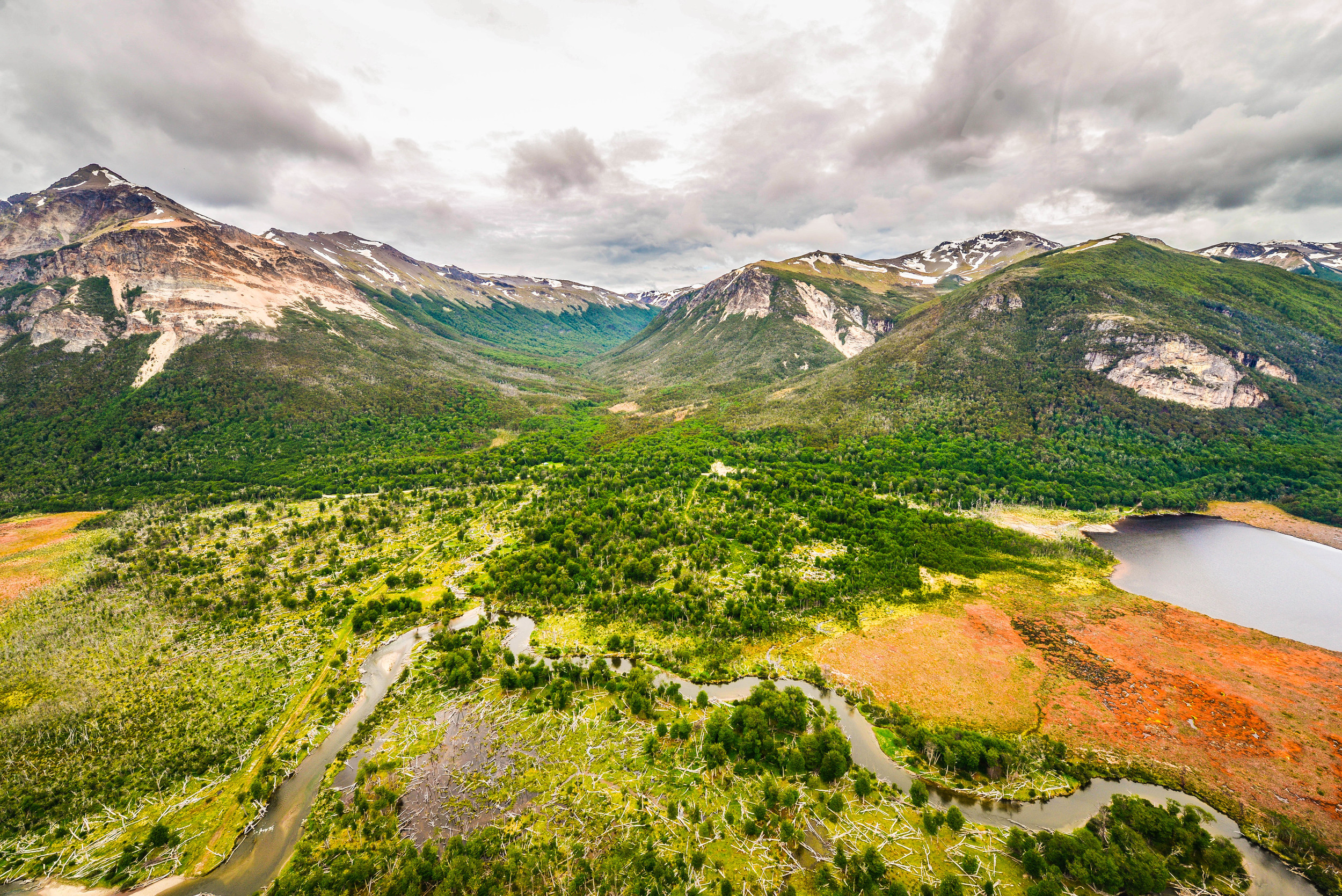 Beaver's Andes
