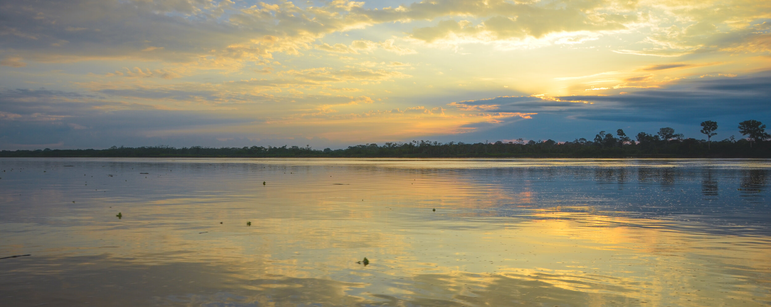Golden Waters