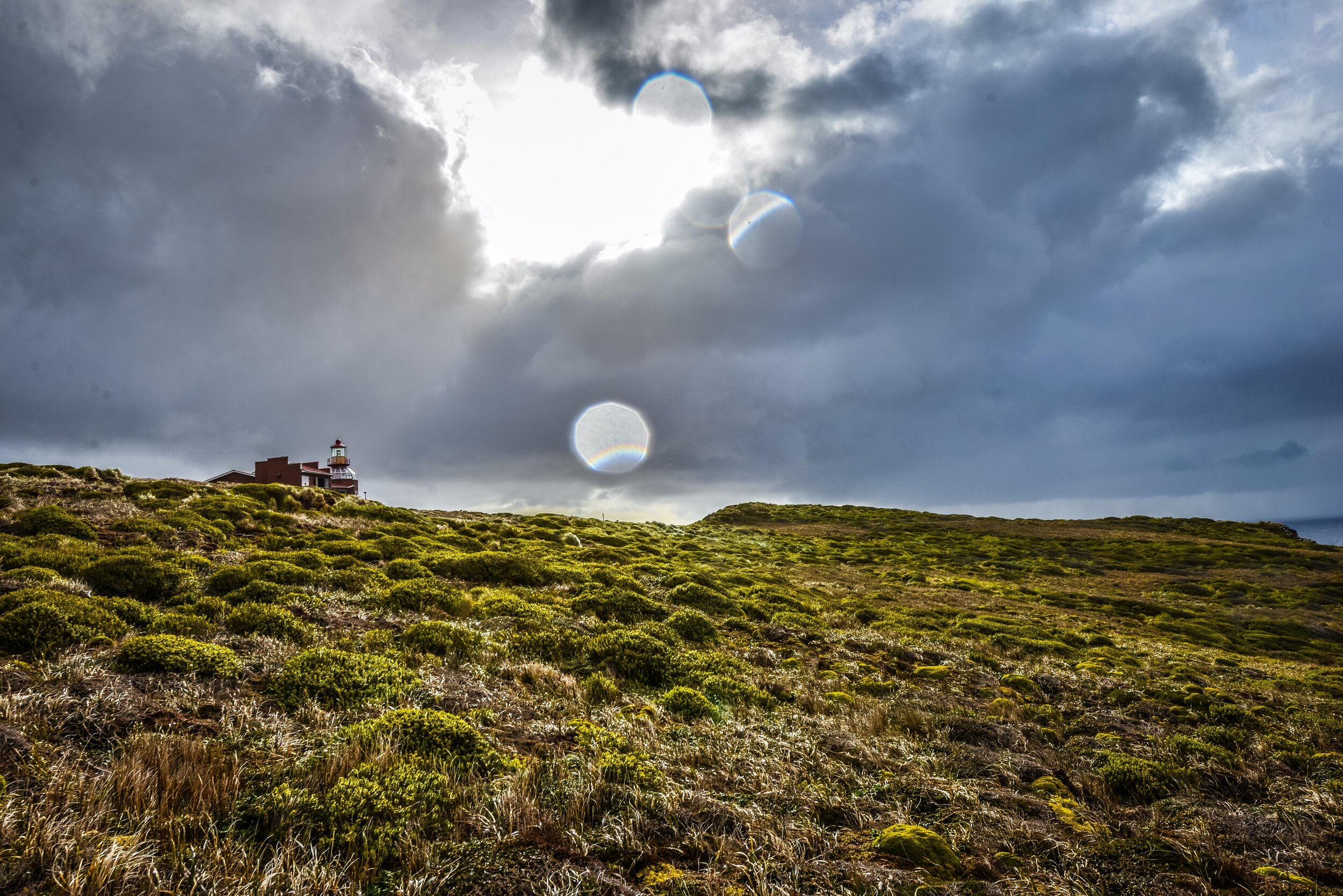The Lighthouse